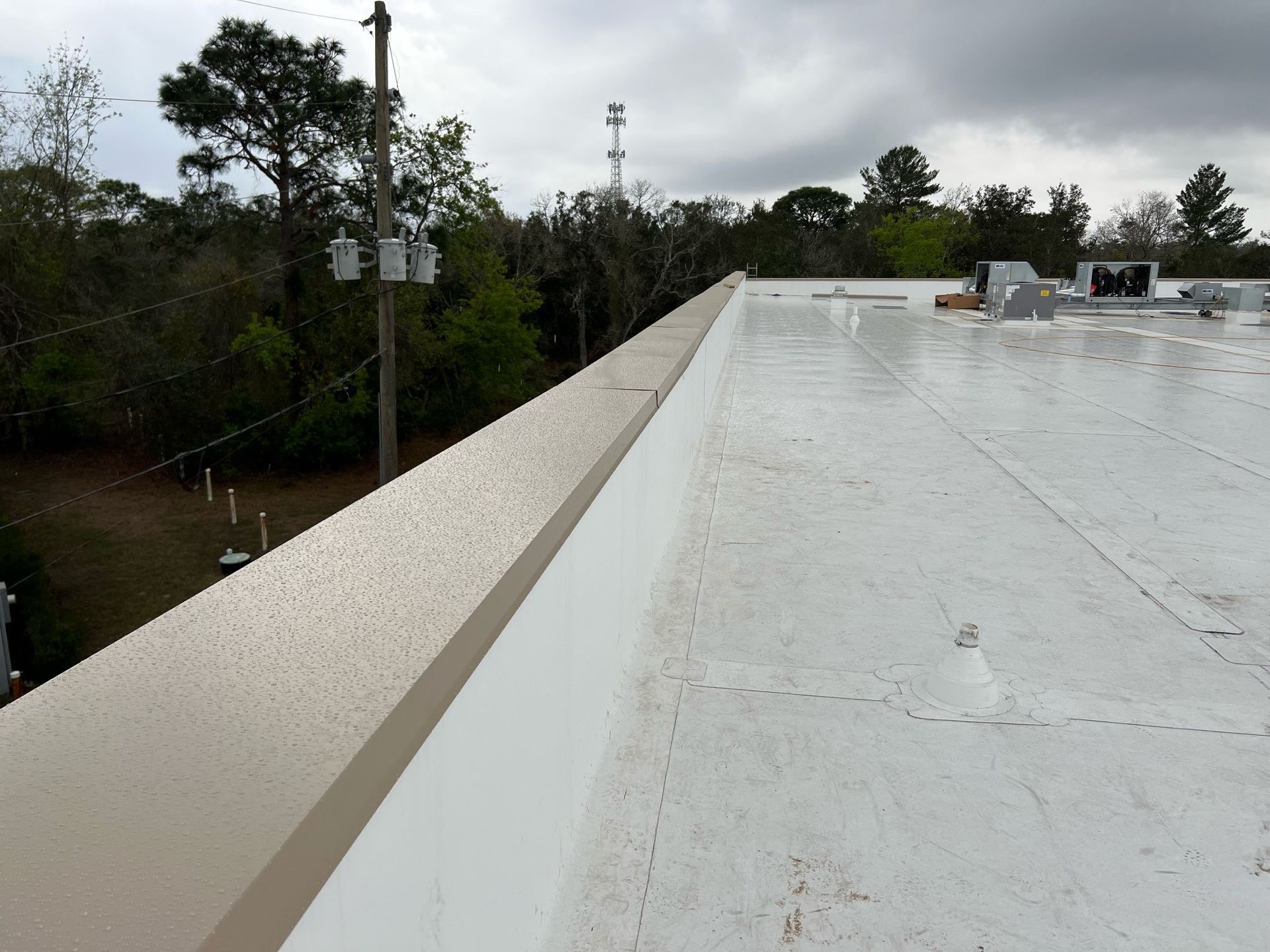 KED Plasma Spring Hill photo 1