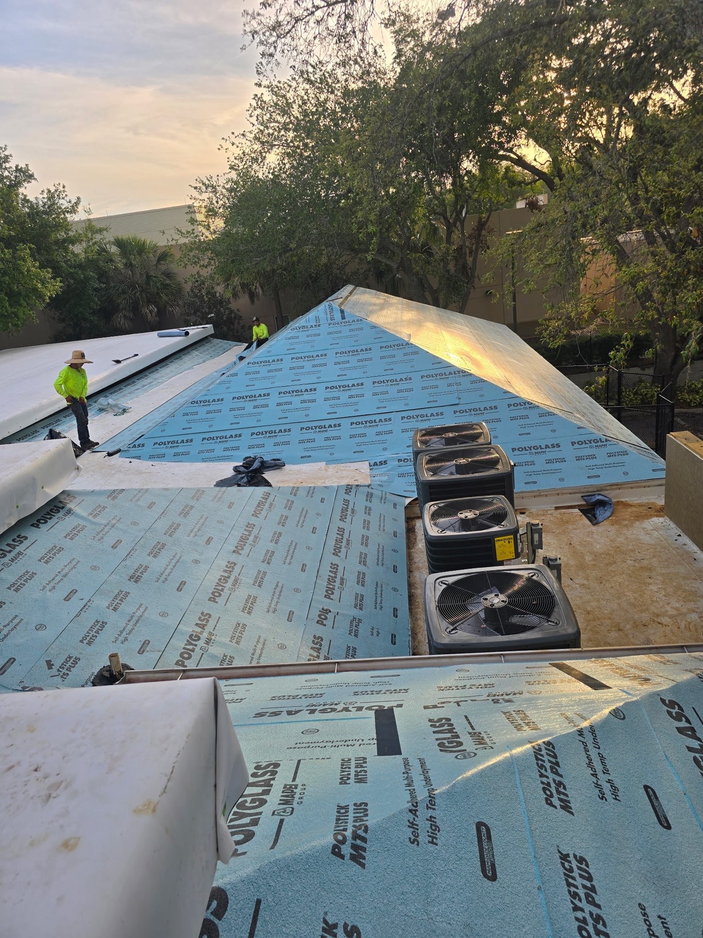 KED Plasma Temple Terrace photo 5